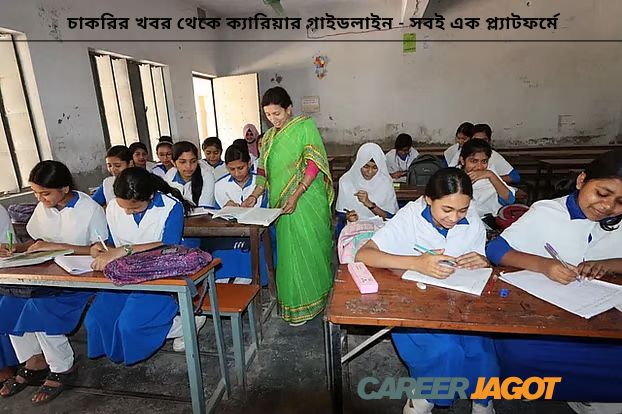 কালেক্টরেট স্কুল অ্যান্ড কলেজ নিয়োগ বিজ্ঞপ্তি ২০২৫